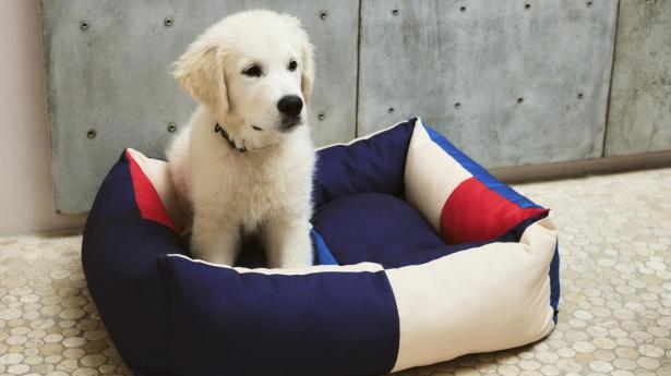 Hay Dogs Bed – hundekurv fra Hay.