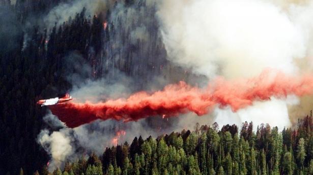 Hedebølge har skabt gunstige forhold for flere skovbrande i USA i år, hvor især Californien har været hårdt ramt. Naturbrande er en del af risikobilledet, når virksomheder eller investorer lægger midler i skov og natur.