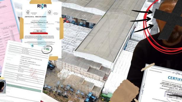 Undercoveroperation afslører omfattende svindel med russisk træ