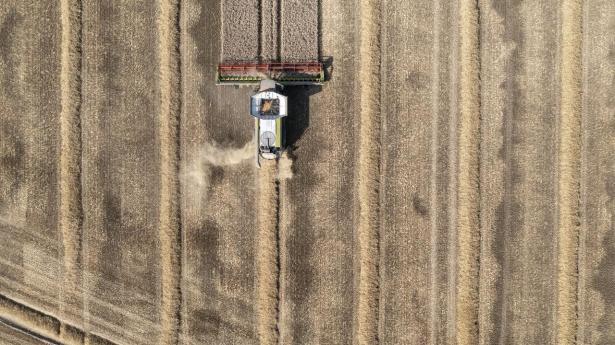 10 pct. af Danmarks areal skal omlægges til natur og skov frem mod 2045.