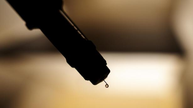 De aktive stoffer i Novo Nordisks præparater ser ud til at påvirke hjernens trang til alkohol.