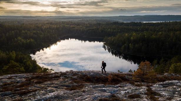 Foto: Henrik Trygg