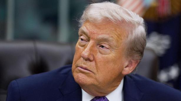 Cannabis-aktier ryger i vejret – Trump vil lempe reglerne