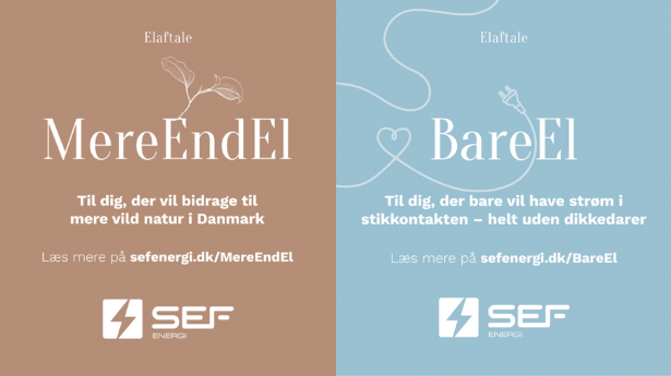 Sef 3 
