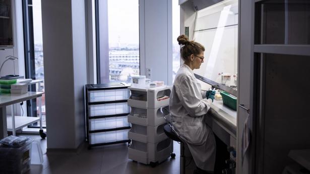 “Ph.d.-uddannelsen er god – men mangler fokus på karriereveje uden for universiteterne”