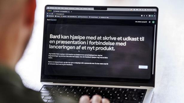 “Cand.merc. i Hakke og Skovl”