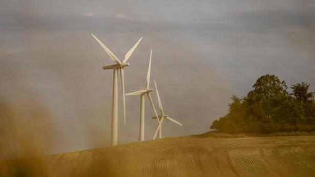 Medie: Krav fra Energinet bremser nye vindmøller i Danmark
