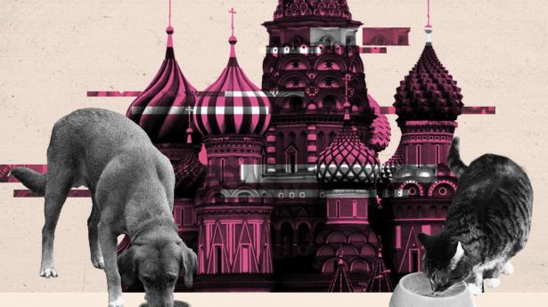 Dansk familiefirma fanget i Rusland: “De har de facto mistet kontrollen”