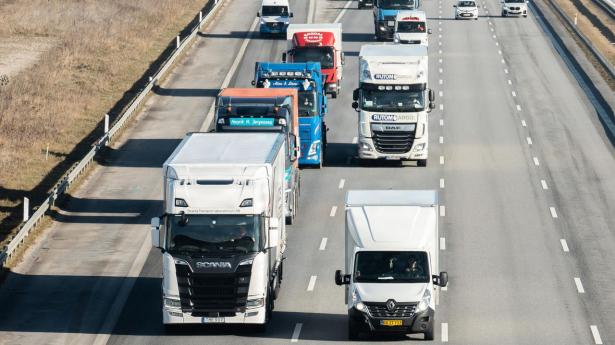 Litauisk ejer sælger kriseramt transportselskab til sig selv