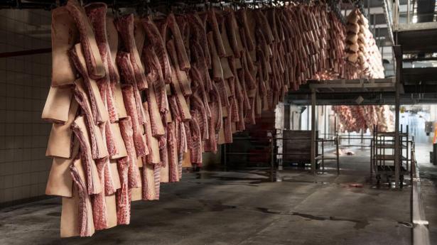 Landmænd får nu endnu mindre for deres slagtegrise: Forbrugerne skal ikke vente lavere priser, siger ekspert