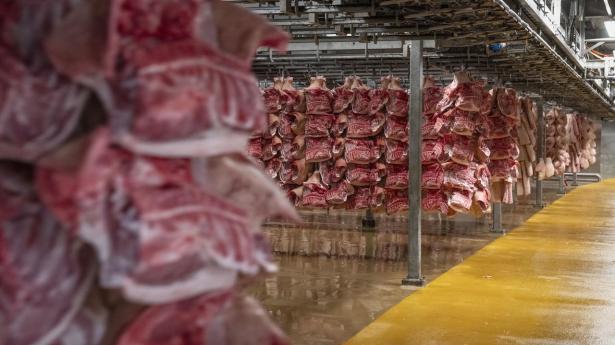 Danish Crown holder fast i kritisk lav pris til producenter