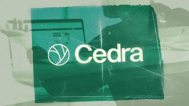 Cedra Danmark gafler direktør hos BDO