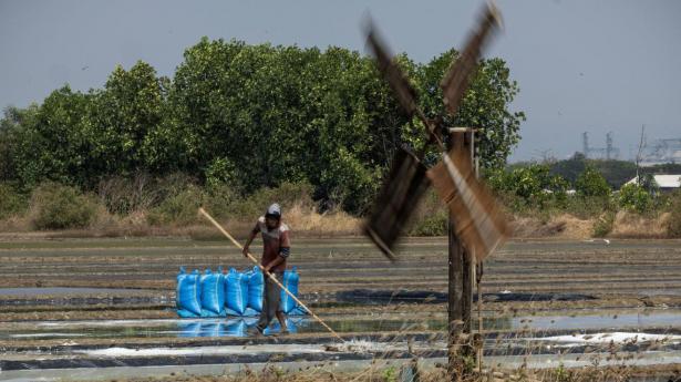 Varmere dage og stigende priser: Det kan vi forvente af El Niño