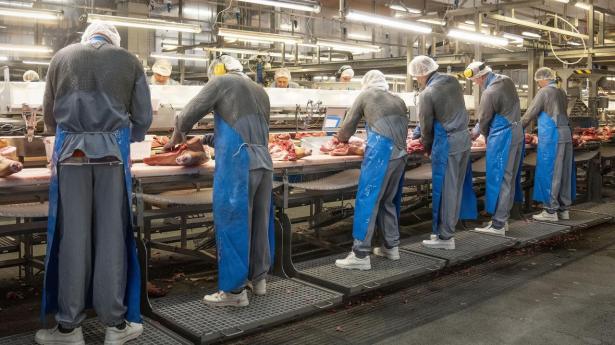 Pressede Danish Crown søger 100 medarbejdere til ny specialiseret fabrik i Vejen