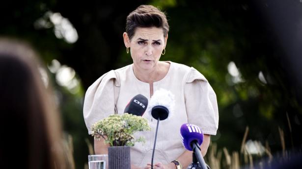 SF-formand lover: Vi skal levere klassisk arbejdsudbud