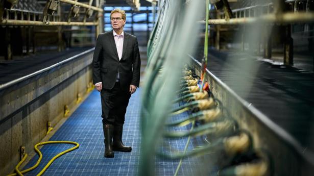 Efter guldår presser “overflod af mælk” Arla tilbage