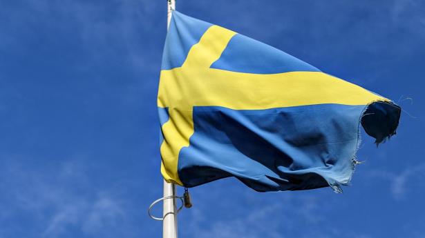 Trygg-Hansa vil dæmme op for konkurser hos erhvervskunder