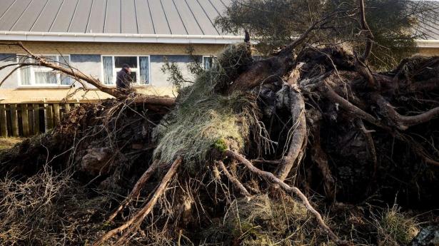 Forsikringsselskaber oplevede heftig stigning i svenske stormskader