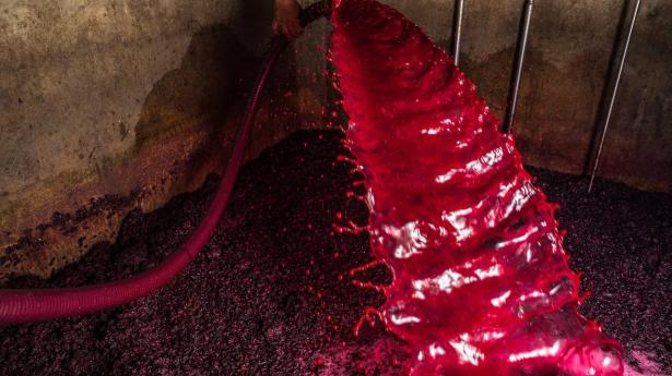 Beaujolais’ oversete lillebror slog de store