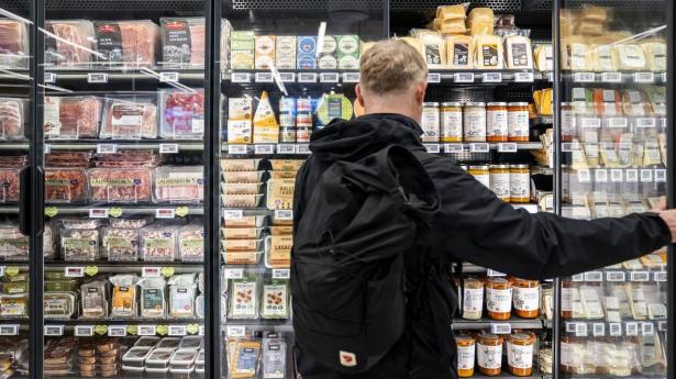 IMF til Danmark: Drop momshug på mad – brug penge på permanent lav elafgift