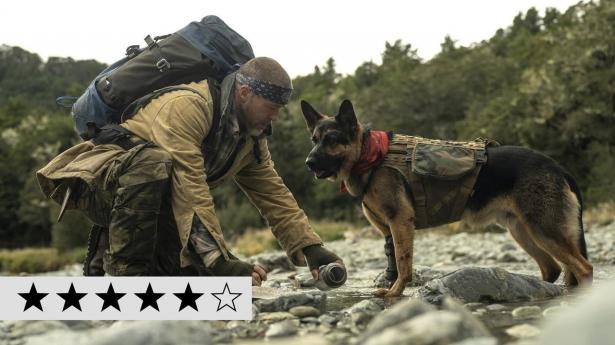 Femstjernet Brad Pitt-film: Machomand og schæferhund rammer lige i hjertet