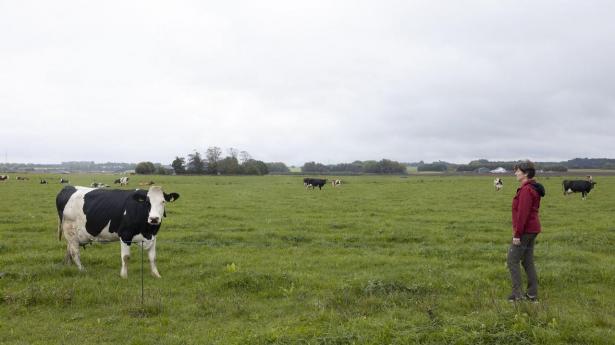 Landmænd kæmper for den lokale trepart