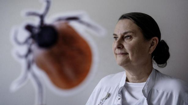 Historie om borrelia vakte storm på vores Facebook: Nu har vi spurgt flåtprofessoren