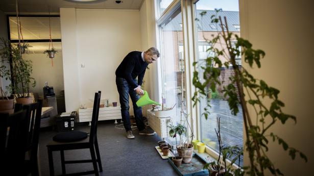 Michael Stausholm stiftede i 2013 Sprout, der sælger blyanter, som kan plantes efter brug. De løser ifølge ham virksomheders udfordring med at kommunikere om bæredygtighed. Arkivfoto: Jonas Pryner Andersen
