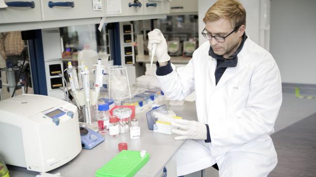 Arkivfoto: Betina Garcia/Ritzau Scanpix