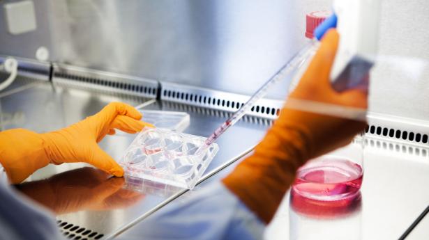 Arkivfoto: Betina Garcia/Ritzau Scanpix