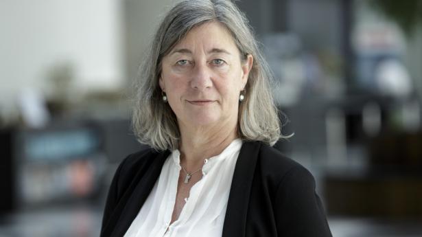 Elly Kjems Hove, branchedirektør i DI. PR-foto
