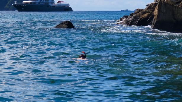 Tobago har nogle af verdens bedste dykkersteder, men selv på en lille snorkeltur er der masser af liv under overfladen. Foto Jan Aagaard