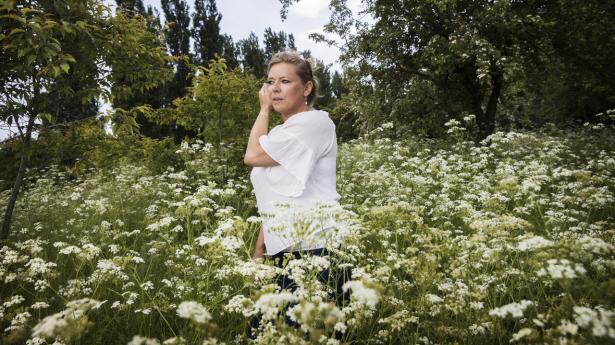 Arbejdslivsforskeren: "Hjemmekontoret har skabt fleksibilitet, demokratisering og effektivitet, men..."