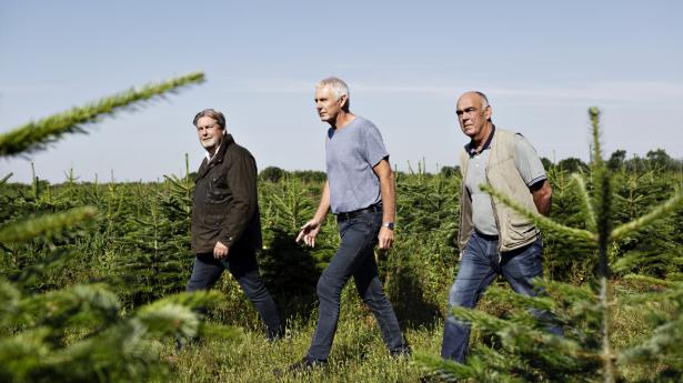 Bjarke Lauge Christensen (tv.), Henning Vind (mf.) og Peter Knudsen (th.) driver sammen juletræsselskabet Toftnæshede, der er kunde i Sydbank og nu konkurrerer direkte med deres bank, som har købt verdens største juletræsproducent, Green Team Group. Foto: Astrid Dalum