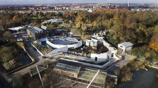 KBH ZOO 02 beskåret.jpg