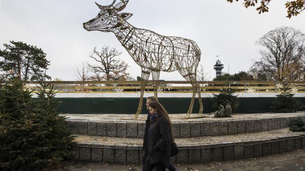 KBH ZOO 11 beskåret.jpg