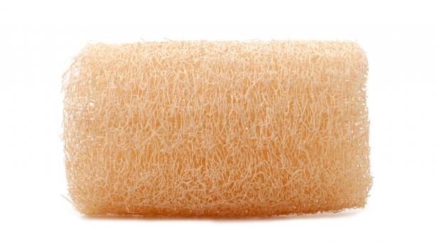 LOOFAH-SVAMP.jpg