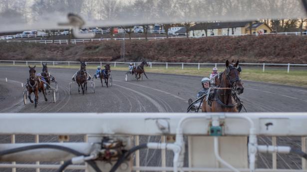 Ebeltoft-virksomheden Mosson samler data på heste, så de kan præstere bedre. Foto: PR/BusinessFilm