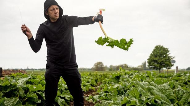 Piotr Gasiorowski, kok på Søllestedgaard, plukker rabarber 002.jpeg
