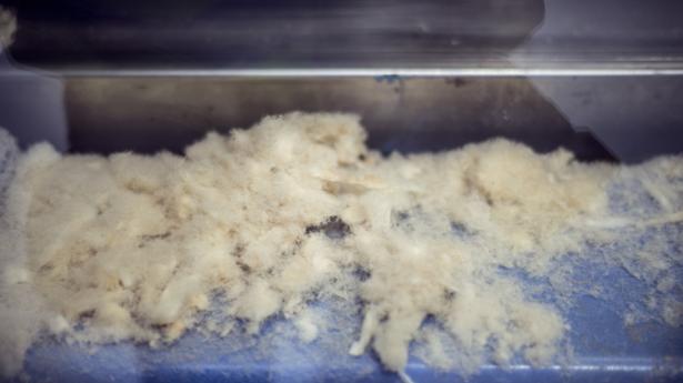 Saint Gobain_007.jpg