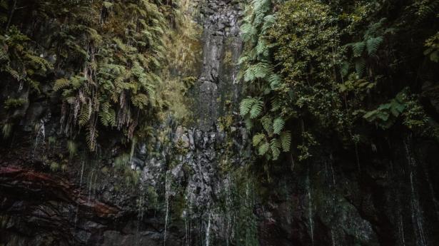 Tag på levada-hike2 ©Maja Grønholdt.jpg