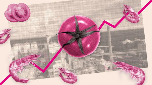 En investering i The Manys grønne fond, der stiller 20 pct. afkast om året i udsigt, møder nu hård kritik. Svært at gennemskue for private investorer, og mudrede omkostninger, lyder kritikken. PR-foto: Billerud Korsnäs – Collage: Michaël Dorbec