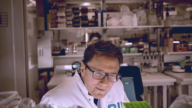 Bioinnovation Institute med direktør Jens Nielsen i spidsen støtter den helt tidlige forskning, der har potentiale til at udvikle sig til et egentligt produkt. Foto: Steven Achiam