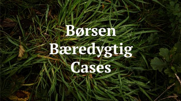 Tirsdag lanceres borsen.dk/cases, som er en udvalgt samling af konkrete eksempler på inspirerende grøn omstilling. Arkivfoto: Anne-Dorthe Søgaard Jensen