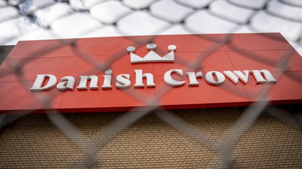 Danish Crown har opdaget coronavirus hos flere medarbejdere på sit slagteri i Ringsted. Lørdag er status, at 62 ansatte er blevet testet positive. (Arkivfoto)