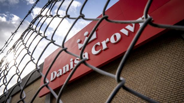 Det gælder om at holde hovedet koldt, lydet det fra Danish Crown, efter at der efter alt at dømme er blevet fundet et dødt vildsvin smittet med afrikansk svinepest i Tyskland.Mads Claus Rasmussen/Ritzau Scanpix