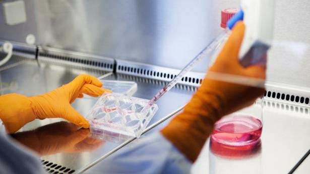 Det danske bud på en coronavaccine kunne allerede i sommer fremvise lovende resultater. Derfor anbefalede Lægemiddelstyrelsen, at Danmark skulle støtte vaccinen for at sikre hurtigere udviklingsproces. Arkivfoto: Betina Garcia/Ritzau Scanpix