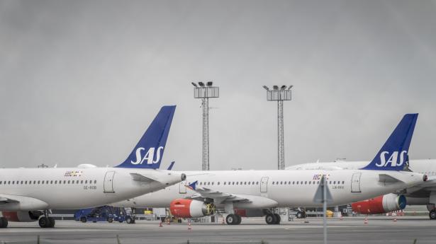 SAS har under coronapandemien været ramt af kraftigt faldende flyveaktivitet. Arkivfoto: Mads Claus Rasmussen/Ritzau Scanpix