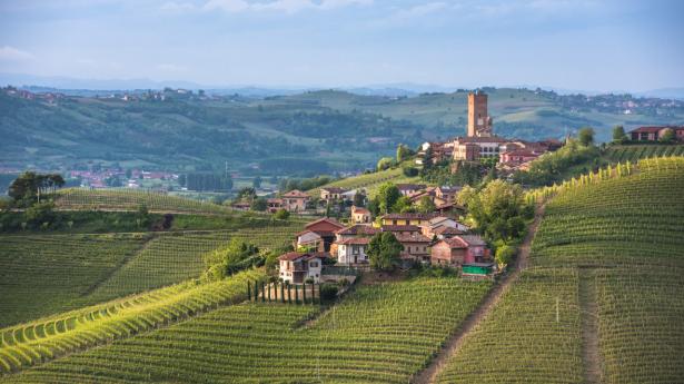 Vinmarker omkring landsbyen Barbaresco i norditalienske Piemonte. Foto: Shutterstock/javarman