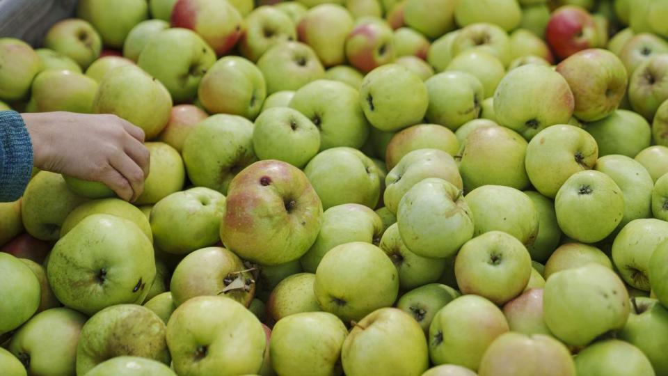 Der er en god mulighed for, at sænkningen af fødevaremomsen bliver til fordel for frugt og grønt.